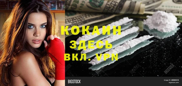 мдпв Заводоуковск