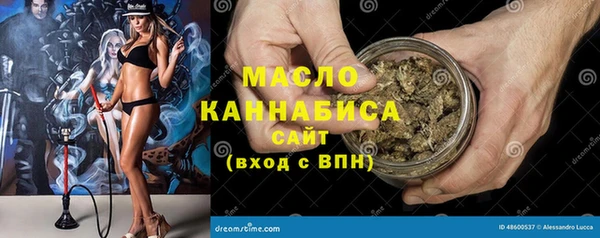 мдпв Заводоуковск