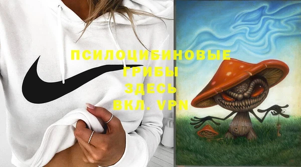 2c-b Заволжье