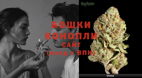 мдпв Заводоуковск