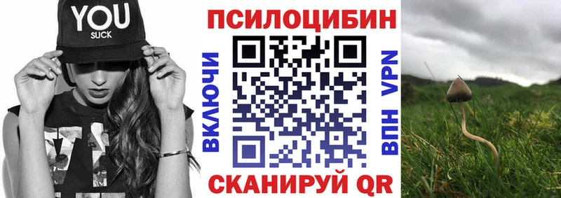 Купить  Данилов  Галлюциногенные грибы Cubensis 